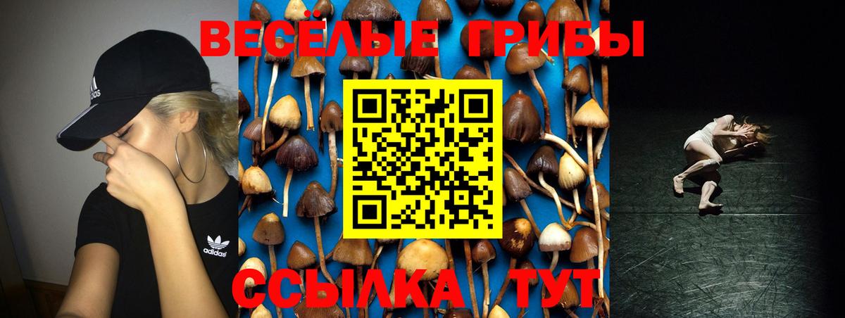 Псилоцибиновые грибы ЛСД  Псилоцибиновые грибы Magic Shrooms  Вход с VPN  Грозный 